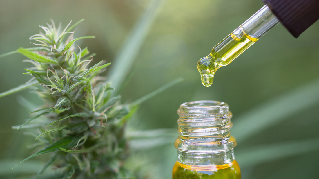 What's the big deal about CBD in skin care?